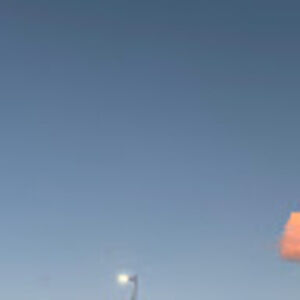 Meet your Posher, Maya